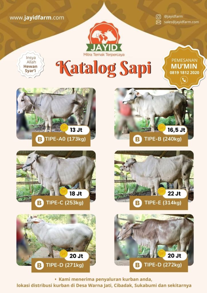 Qurban sapi Murah di Jakarta